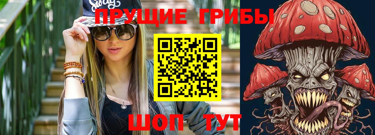 Галлюциногенные грибы мухоморы Горно-Алтайск