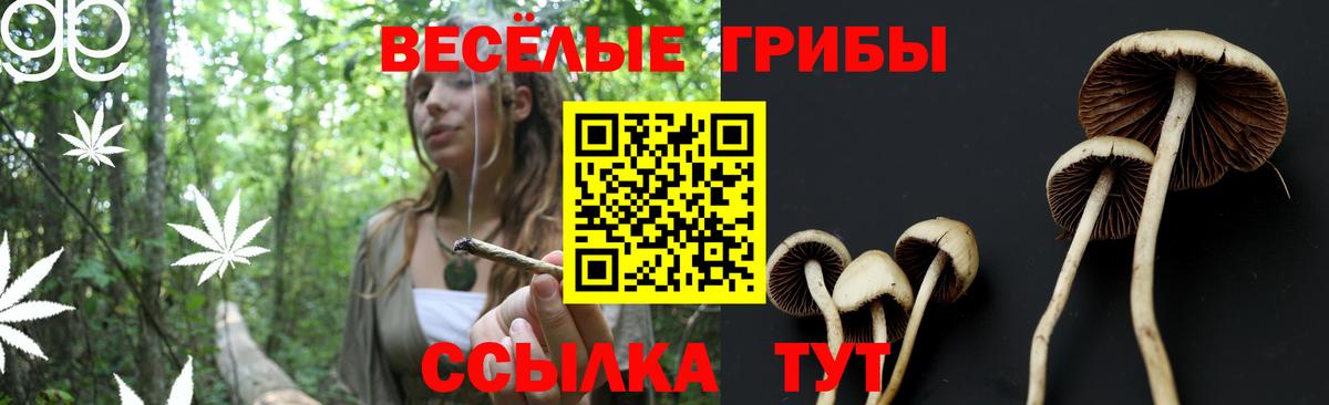 Горно-Алтайск  Галлюциногенные грибы Magic Shrooms  даркнет сайт  Вход с VPN 